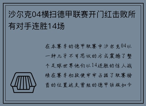 沙尔克04横扫德甲联赛开门红击败所有对手连胜14场